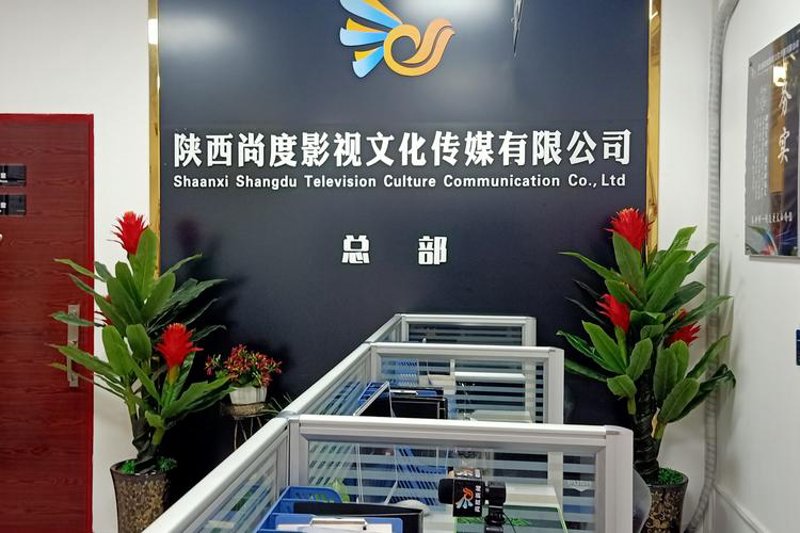 文化与传媒的交响——陕西文化传媒业的发展趋势