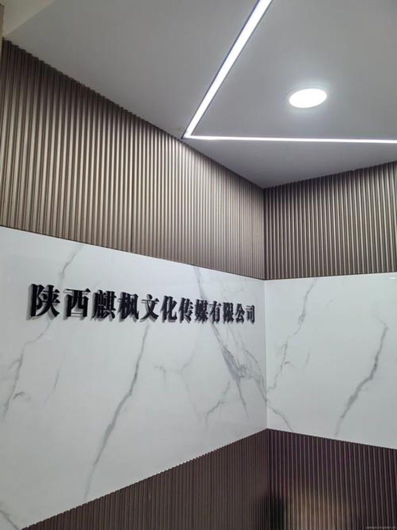 陕西文化传媒